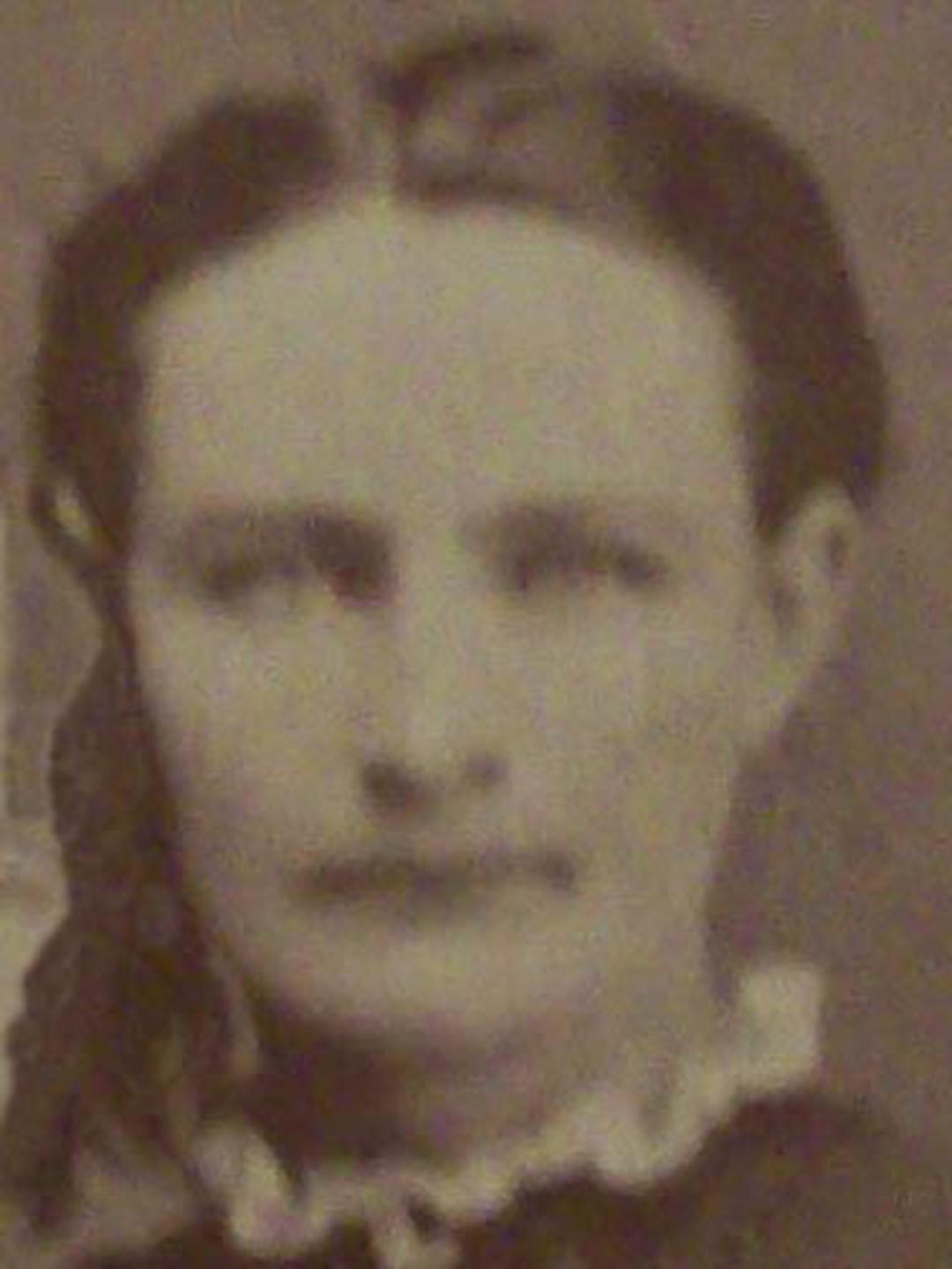 Maria Amity Johnstun (1849 - 1937) Profile